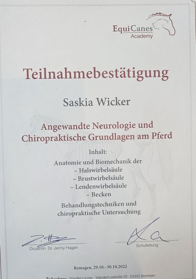 Angewandte Neurologie und Chiropraktische Grundlagen Pferd 29.10.2022
