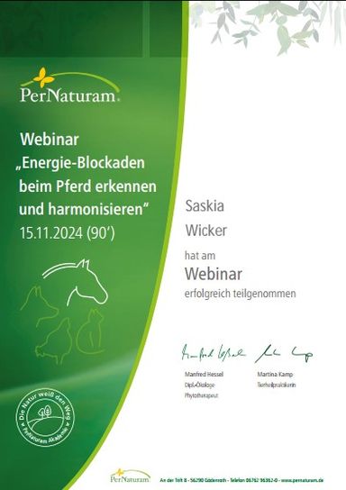 Energieblockaden beim Pferd_15.11.2024