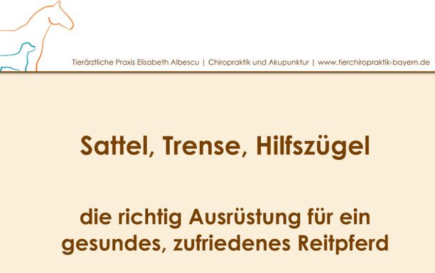Sattel, Trense, Hilfszügel_22.04.2024